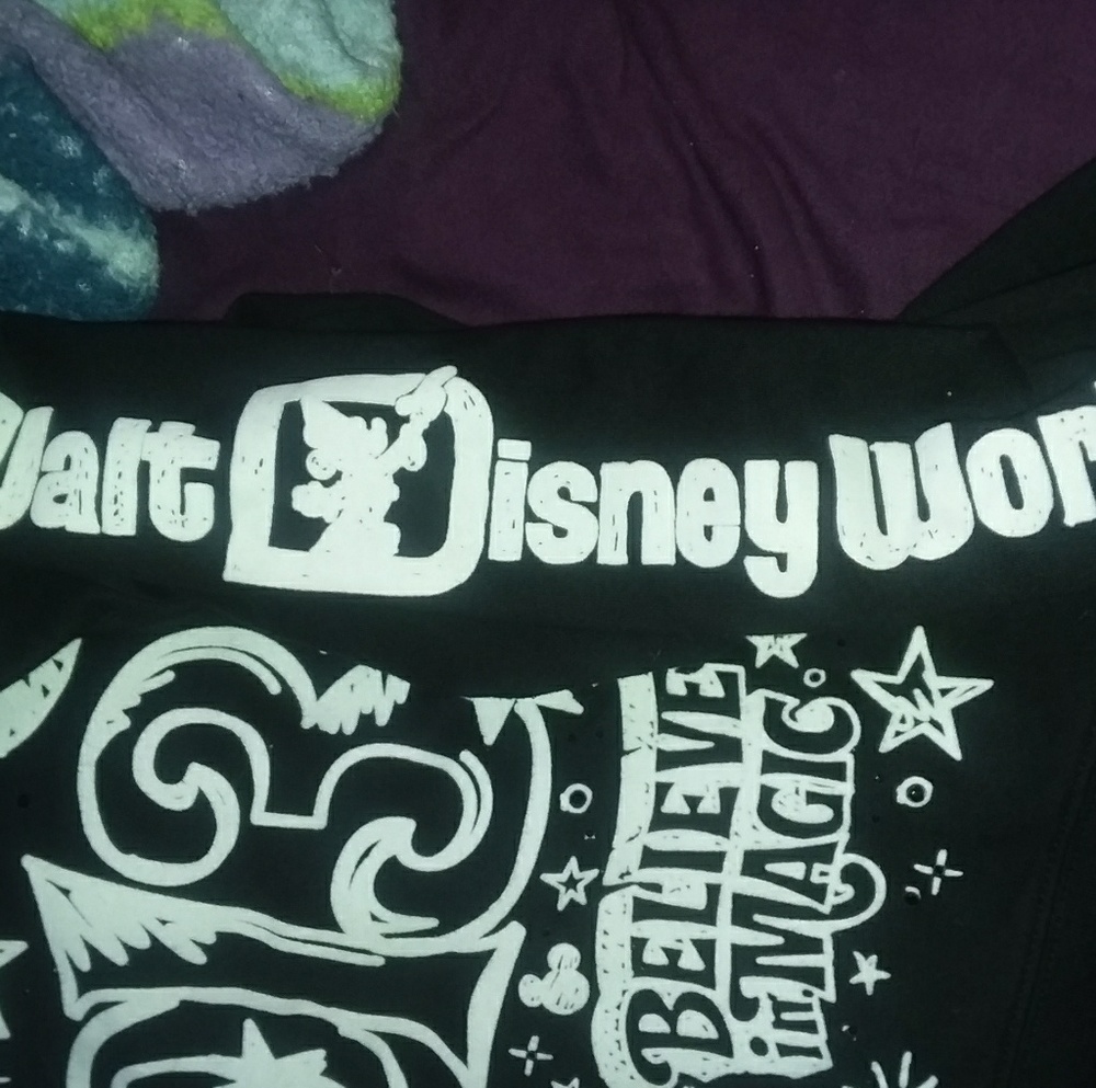 Disney Parks Believe in Magic sweatshirt